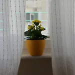Appartement Nara Split