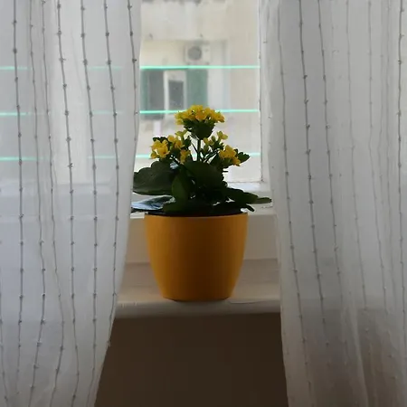 Apartment Nara Split